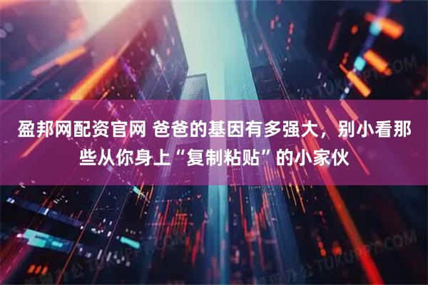 盈邦网配资官网 爸爸的基因有多强大，别小看那些从你身上“复制粘贴”的小家伙